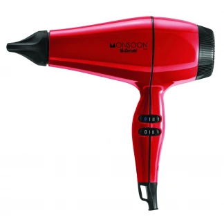 Monsoon hair dryer