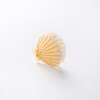 hair clip gift