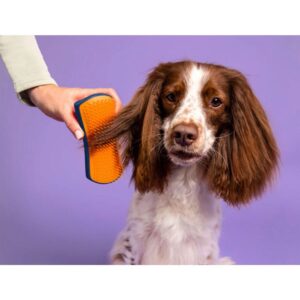 pet brushes