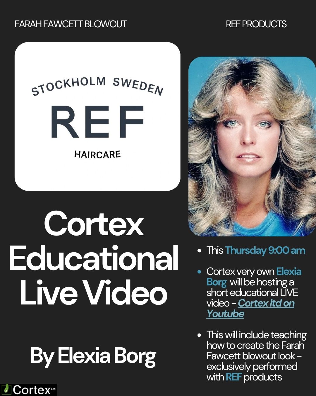 Hair styling Farah Fawcett by Elexia Borg