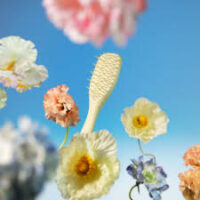 Extra Gentle Brushes