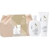 christmas gifts alfaparf normal hair shine duo packs